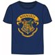 FASHION UK Bavlněné tričko HARRY POTTER 116 cm