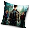 Oblíbený povlak na polštářek pro fanoušky filmové ságy Harry Potter. Základní vlastnosti:rozměry (šxd): 40x40 cm. stejný vzor z obou stran. 100% polyester. licenční výrobek. zapínání na zip. praní na 30°C. 