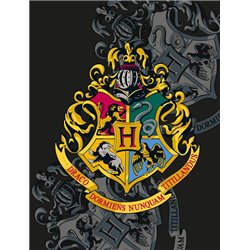 HALANTEX Fleece deka HARRY POTTER BRADAVICE 130x170 cm