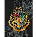 Dětská deka Harry Potter Bradavice