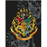 Dětská fleecová deka pro fanoušky filmové ságy Harry Potter. Základní vlastnosti:rozměry: 130x170 cm. 100% polyester, fleece. praní na 40°C. licenční výrobek. 