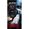 Dětská osuška Harry Potter Hedwig