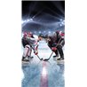 Bavlněná osuška s hokejisty pro fanoušky hokeje. Základní vlastnosti:rozměry (šxd): 70x140 cm. 100% bavlna. praní na 40°C. 