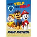 Dětská deka Paw Patrol 457