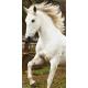 JERRY FABRICS Plážová osuška KŮŇ WHITE HORSE 70x140 cm