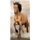 JERRY FABRICS Plážová osuška KŮŇ HORSE BROWN 70x140 cm