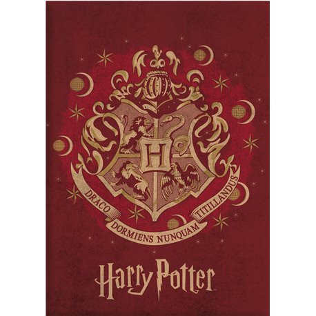 AYMAX Fleece deka HARRY POTTER ERB 120x150 cm