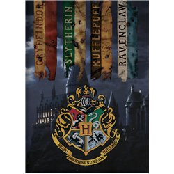 AYMAX Fleece deka HARRY POTTER HUFFLEPUFF 100x140 cm