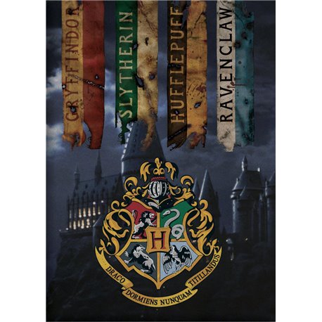 AYMAX Fleece deka HARRY POTTER HUFFLEPUFF 100x140 cm