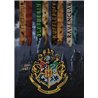 Dětská fleecová deka pro fanoušky filmové ságy Harry Potter. Základní vlastnosti:rozměry: 100x140 cm. 100% polyester, fleece. praní na 30°C. licenční výrobek. 